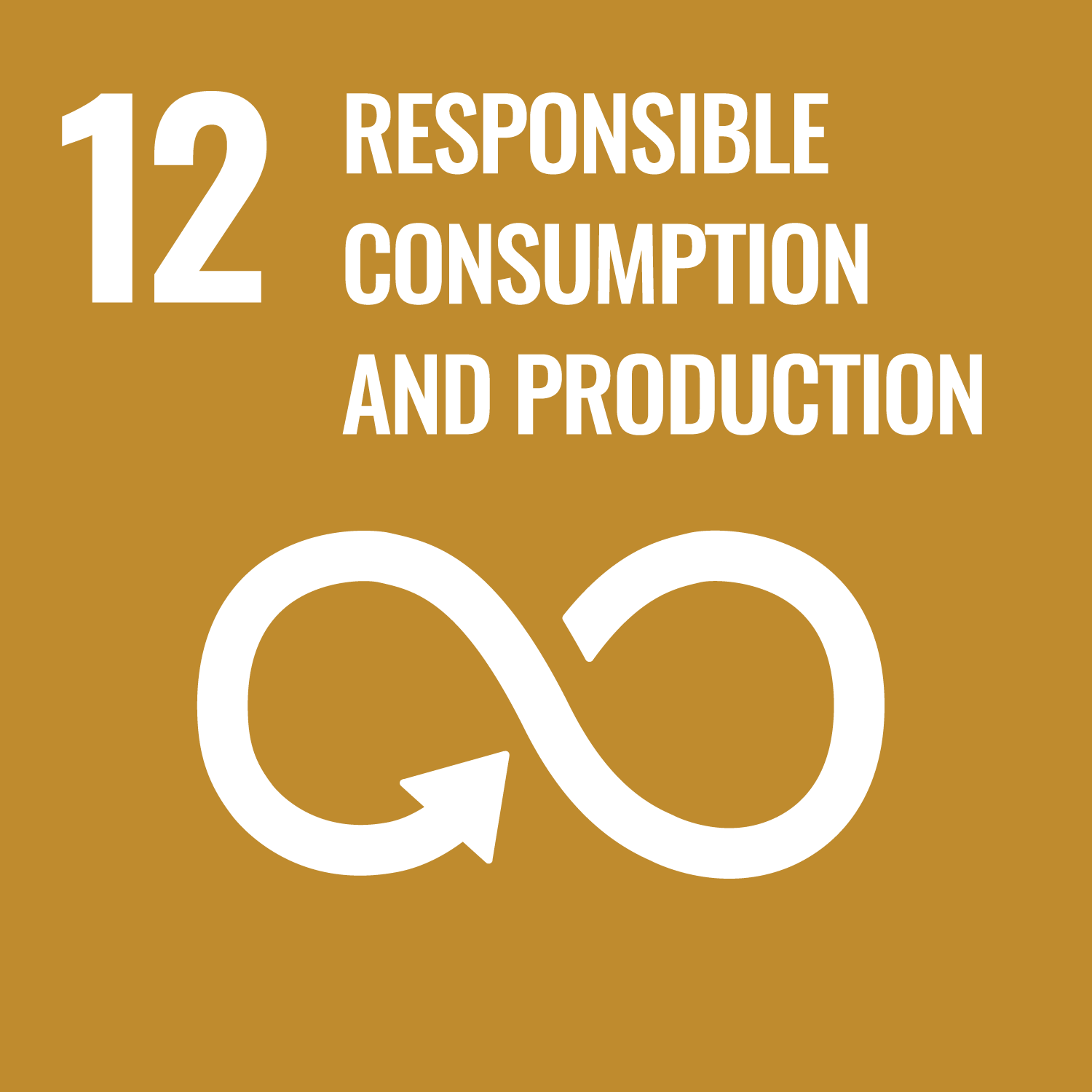 SDG Goal 12